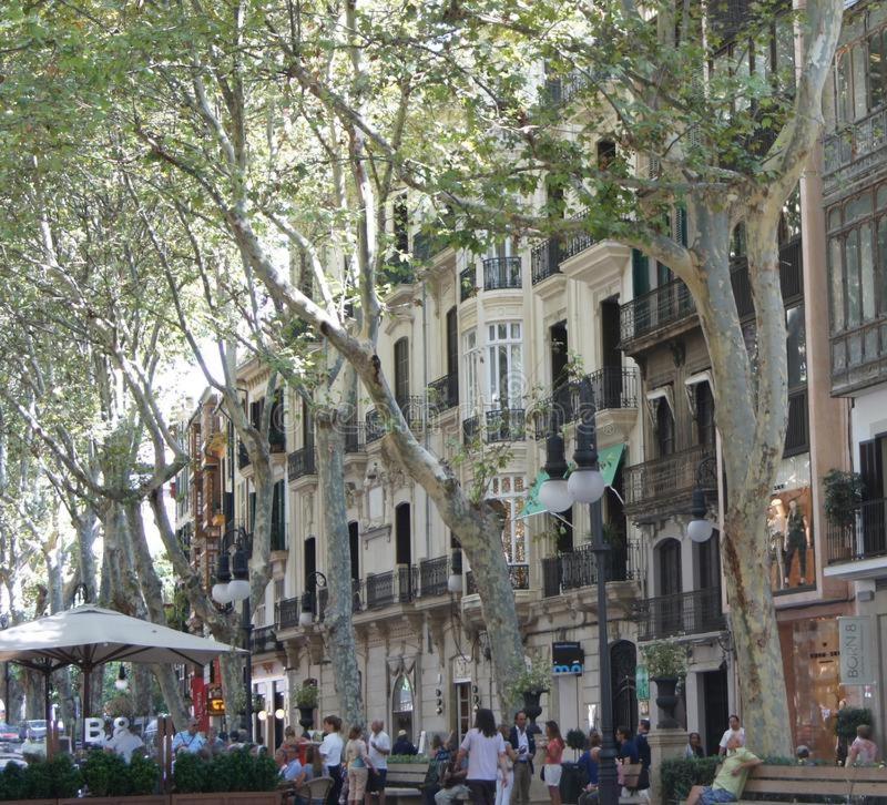 Rambla Center * Palma di Maiorca