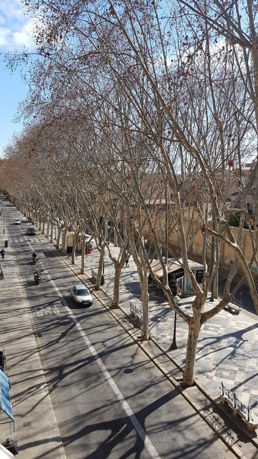 Rambla Center * Palma di Maiorca